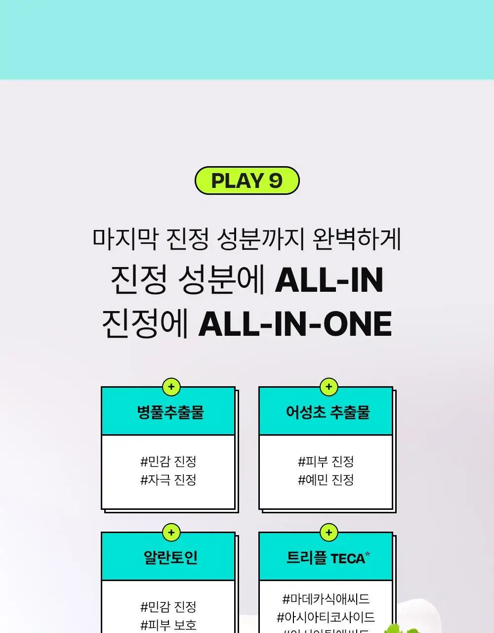 [쿨링진정/찢어쓰는패드] 에딧비 진정 톡 시카 어성초 트러블 패드 70매 상세페이지 32